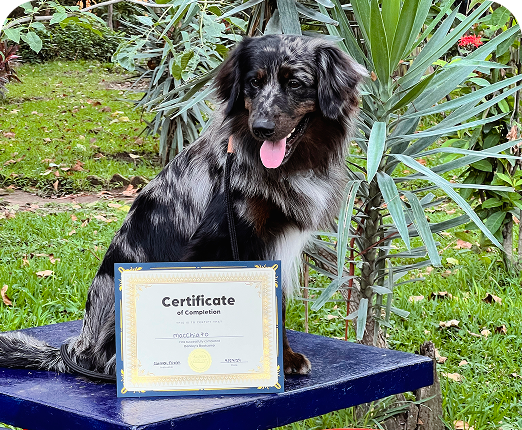 A Success Story You’ll Love